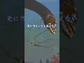 深海ゴジラのスペックがエグい