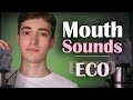 ASMR | El combo IDEAL para DORMIR en minutos: Mouth Sounds + ECO + Fluffy