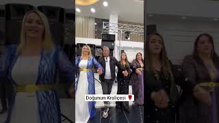 Hozan Menice Halayda