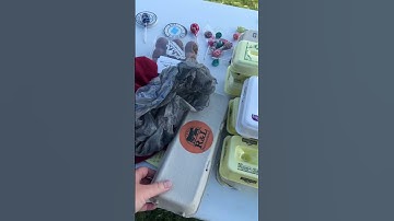They Did It! #eggs  #hatching #subscribers #walkerfarmfam