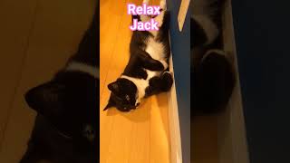 The Shining Deleted Bar Scene