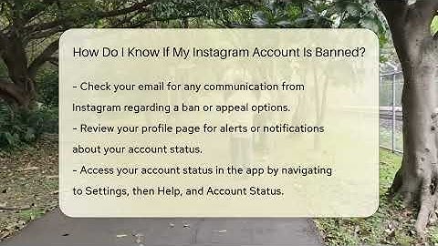 How Do I Know If My Instagram Account Is Banned? - Everyday-Networking