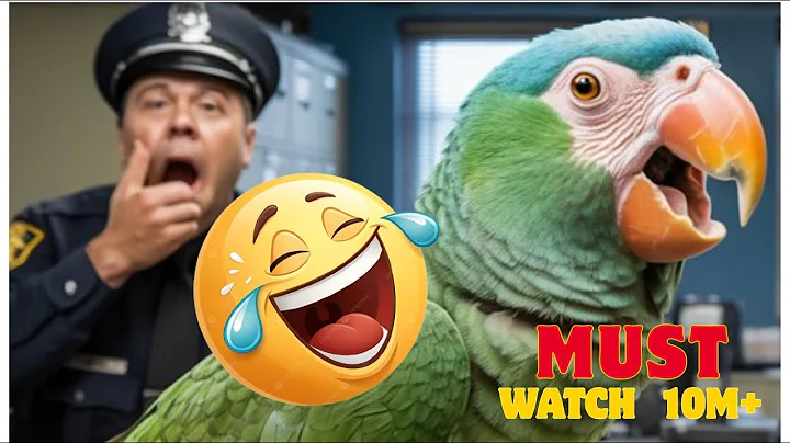 SAVAGE FUNNY PARROT!!! 😂😂    DAILOUGES