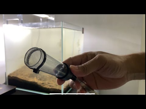 Video: Kaip Išvalyti Dirvą Akvariume