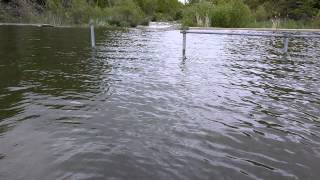 VID 20140516 4