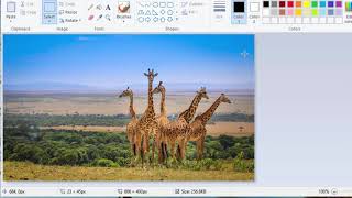 Create a simple slideshow using JavaScript code