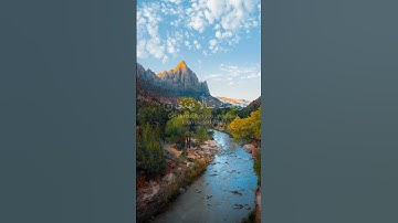 تلاوة خاشعة ومؤثرة القارئ عادل ريان سورة ضحى