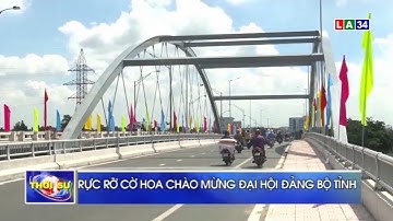 Chuyện tỉnh ta | Rực rỡ cờ hoa chào mừng Đại hội Đảng bộ tỉnh | LONG AN TV