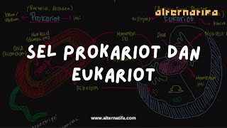 Sel: Prokariot & Eukariot | Biologi | Alternatifa