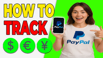 How to Track Business Payments Using PayPal Reports