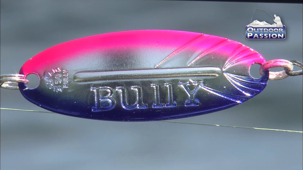 OUTDOOR PASSION, THE WILLIAMS  BULLY !!!!