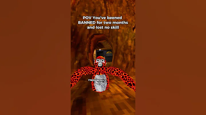 POV you got banned and lost no skill. #gorillatag gorillatag credits @Fart_VR