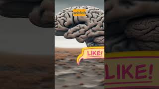 What Happens When You Die? Scientists Finally Have an Answer