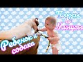 Ребёнок и Собака | Знакомство Собаки с Новорожденным | СемёнУмён