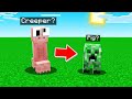 I Cursed EVERYTHING In Minecraft!