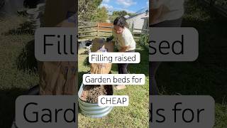 Filling your raised garden beds for CHEAP