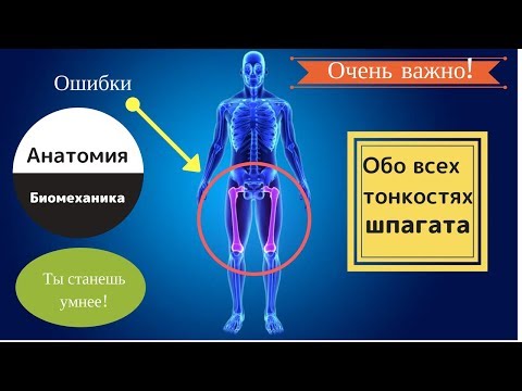 Шпагат. Анатомия | От А до Я. Детям и взрослым!