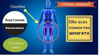 Шпагат. Анатомия | От А до Я. Детям и взрослым!