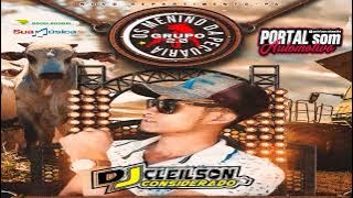 Cd Grupo Os Meninos da Pecuária Vol 5 Dj Cleilson Considerado