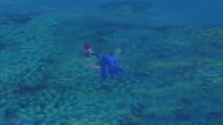 Sonic 06 is a very polished game