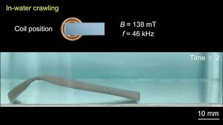 In-water crawling of the LCE-LM soft robot screenshot 5