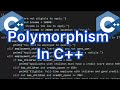 Learning Polymorphism in C++