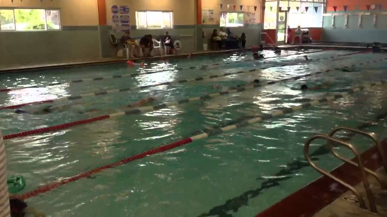 Flying fish swim school Mountain View, CA YouTube