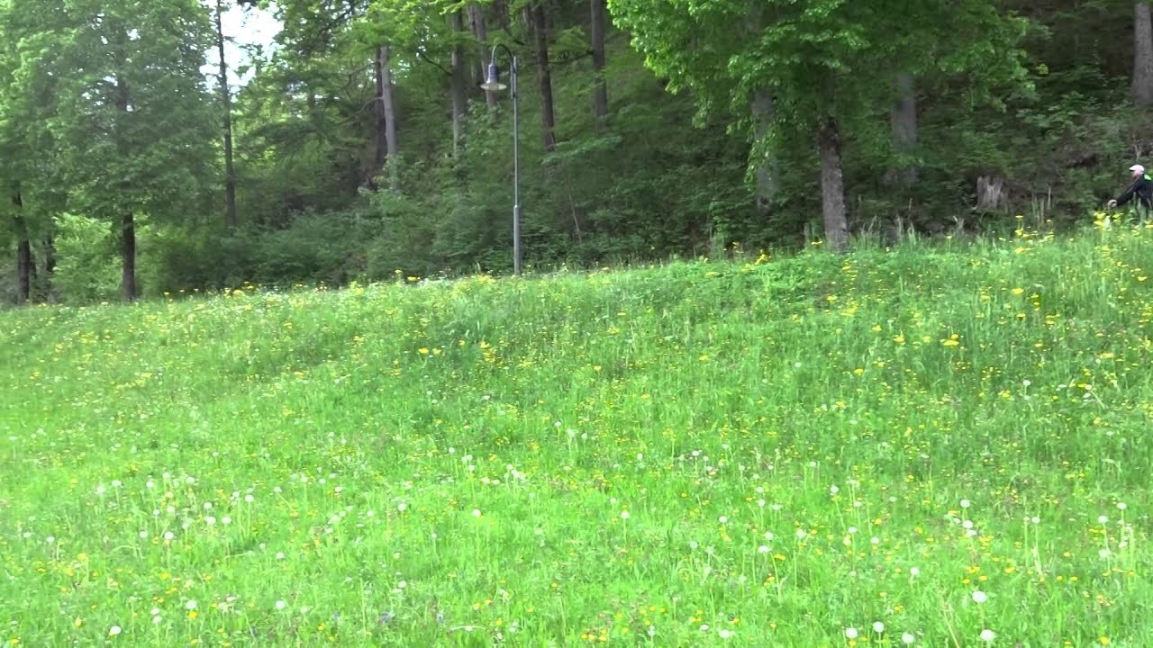 Bad Faulenbach  Natur pur  17.05.2015