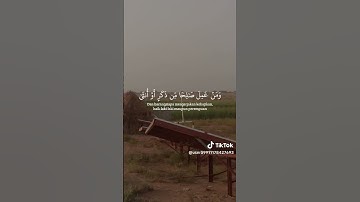 قرآن كريم اجر لي ولكم #اكسبلور #المصحف #duet #القزابري #راحة_نفسية #لايك #الرحمن #yasseraldossary