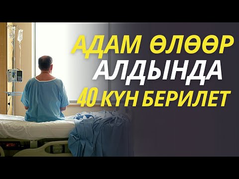 Video: Адам орой боло алабы?