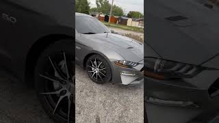 #vroomvroom #mustang #mustanggt #cars #fastcars