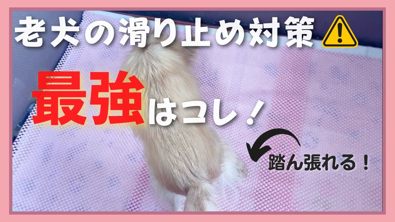 【老犬の滑り止め対策】色々試した結果これが最強だった！【100均の滑り止めシート】