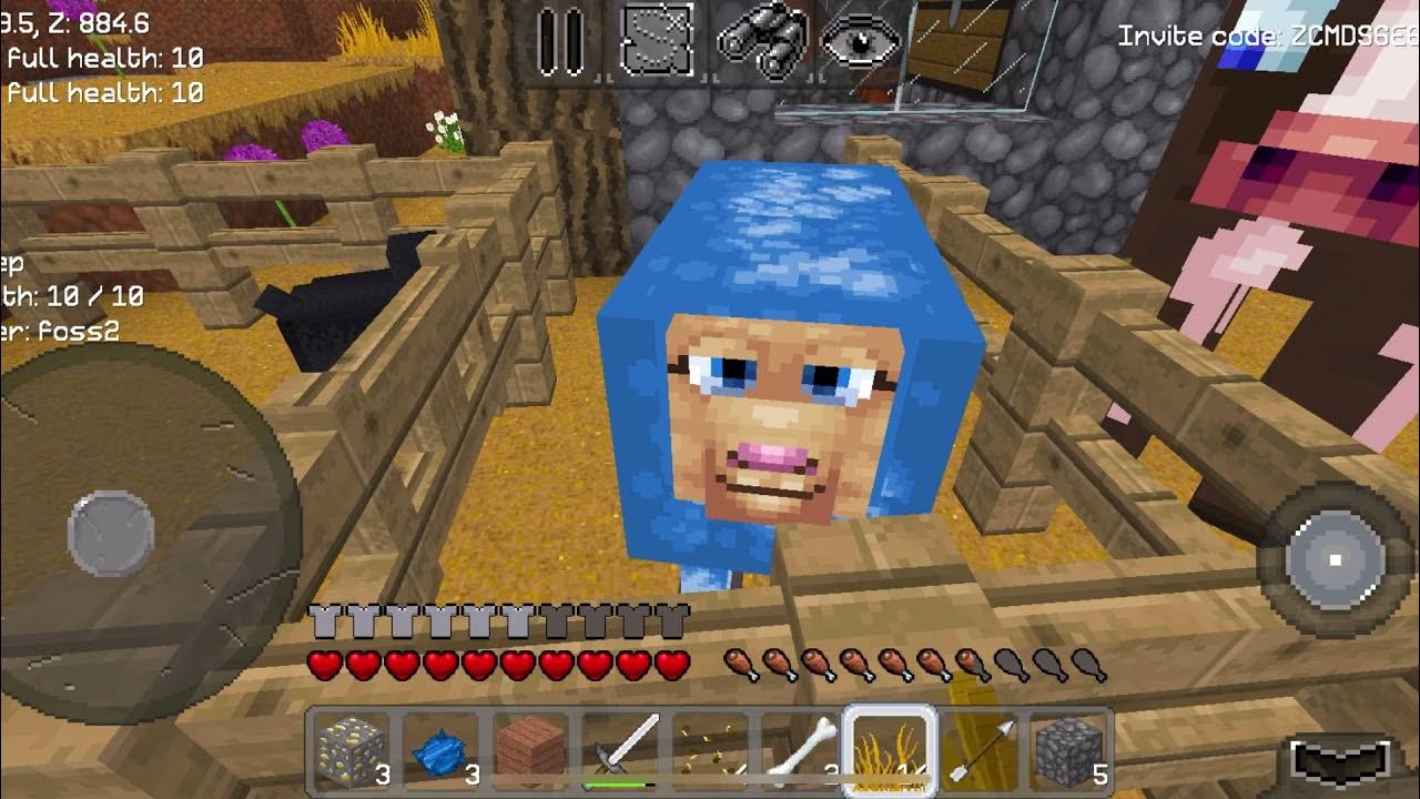 How to make sheep grow their wool back and how to feed sheep in