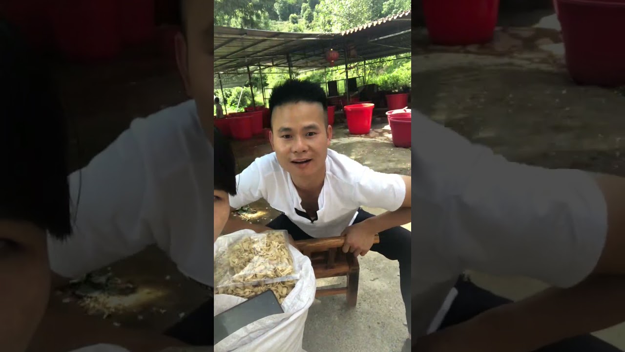 xưởng sản xuất bột dong 2