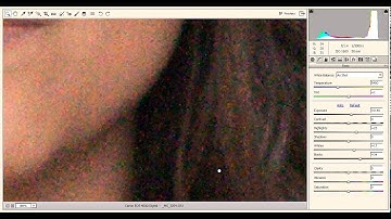 Double Processing an image  Masking Part 1 ACR