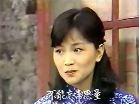 鳳飛飛 劇情版《滿山春色》  1982鳳懷鄉土情第一集13