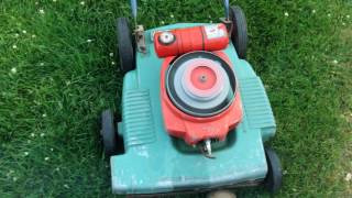 IMG 3278