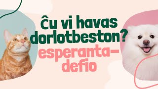 🐱ĉu vi havas dorlotbeston?/defio 30 tagoj parolante en esperanto/tago 5🐶