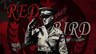 【PB】【乐正绫】红鸟RED BIRD——“只待红鸟展翅张翼,翱翔在广阔天际”