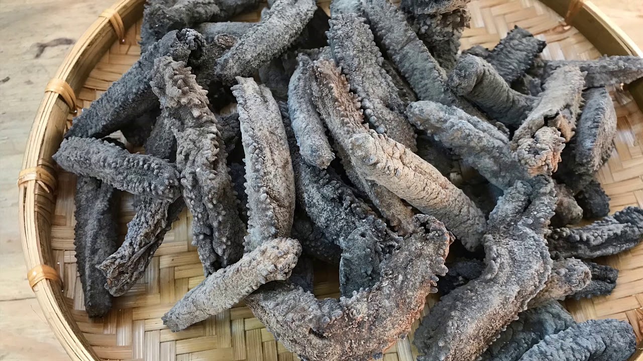 Hải sâm, cách chế biến đơn giản, dễ làm vẫn giữ nguyên dinh dưỡng