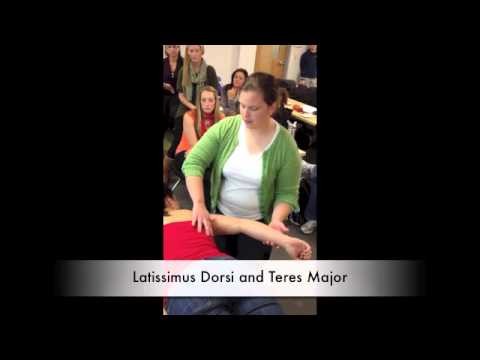 Manual Muscle Test for Latissimus Dorsi and Teres Major