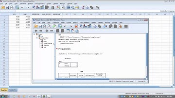 How to Use SPSS-Opening Existing Files, Saving and Exporting Files.trec