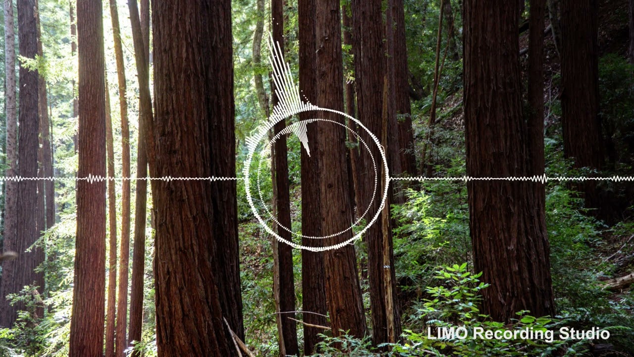 NEFFEX - Changing (No Copyright Music)