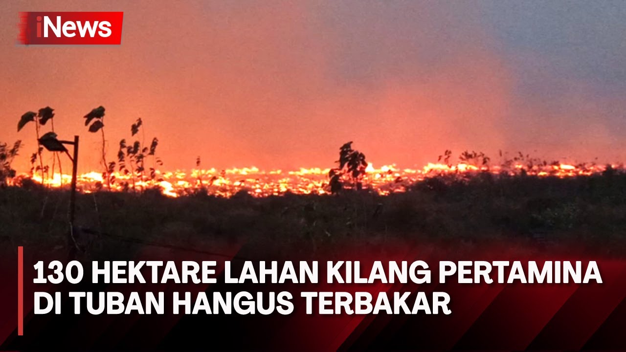 Lahan Kosong 130 Hektare Milik Kilang Minyak Pertamina di Tuban Terbakar Hebat