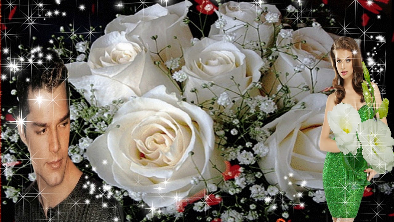 парень дарит девушке белые розы. картина девушка с белыми розами. нежная девушка с белой розой. девушка с белыми розами. парень с белыми розами.