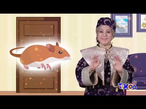 باب الحكايات حكاية الحميصة اعداد وتقديم رائدة القرمازي