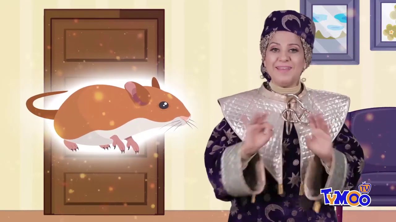 باب الحكايات حكاية "الحميصة"  اعداد وتقديم رائدة القرمازي