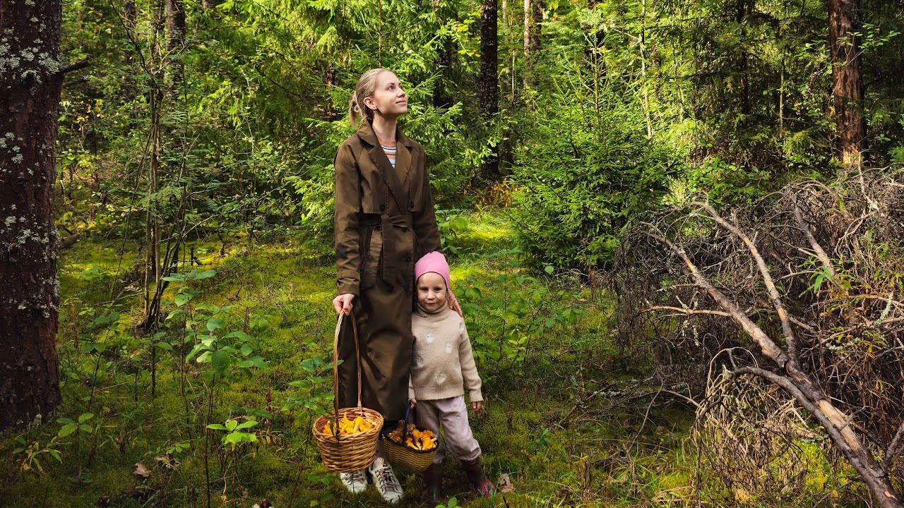 Сентябрь в домике у леса 🍂 Slow living 