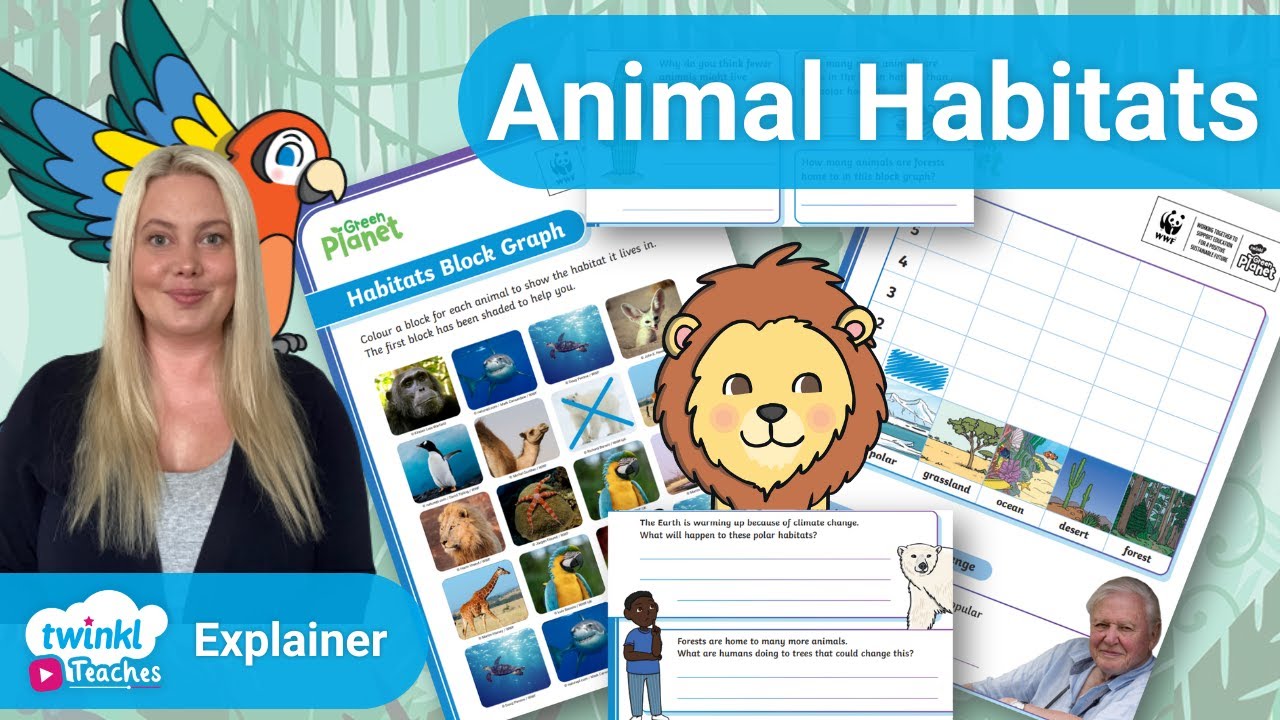 Animal Habitats with Sir David Attenborough | KS1 Science