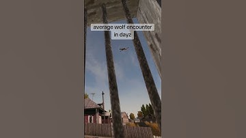 👀🤣 #dayz #dayzgameplay #dayzgamers #dayzstandalone #gaming #dayzofficial #viral #xbox #shorts #pvp